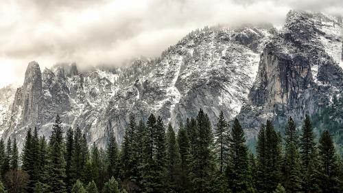 Wider spirits in Yosemite