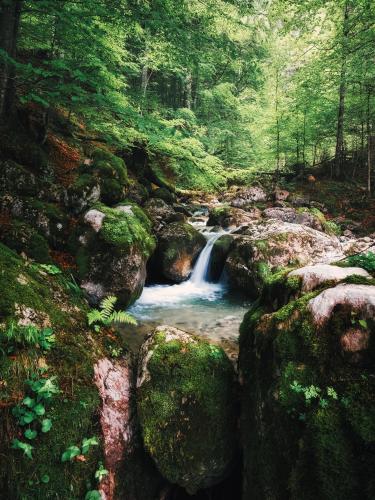 Creek along the way, southern Germany