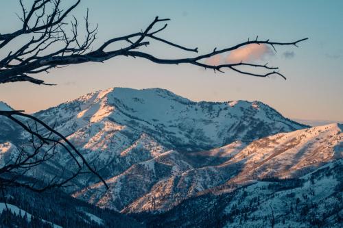 Winter sunset on Gobblers Knob, Big Cottonwood