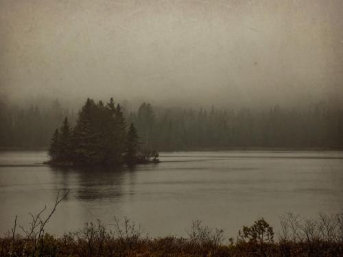 Seems fitting for the mood of this season 5152 x 3864 somewhere in Northern Maine