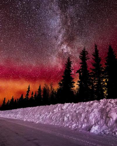 Milky Way In the forest