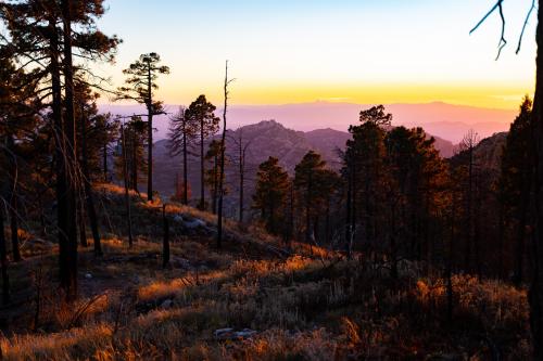 Sunset on Mount Lemmon, Arizona