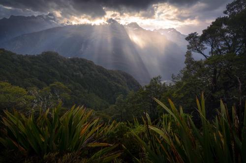 Darkness and light. Fiordland, New Zealand {OC}  @williampatino_photography