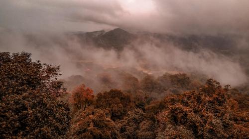 Mountain view , Ooty, India