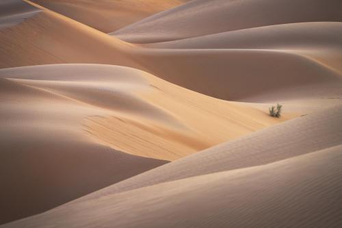 Dunes from the empty quarter in Oman.  @nickolasawarner