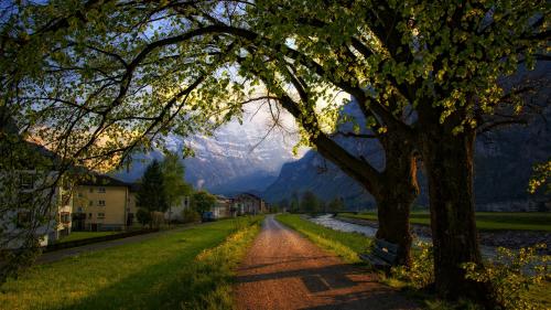 Quiet dirt road in the Alps of Switzerland