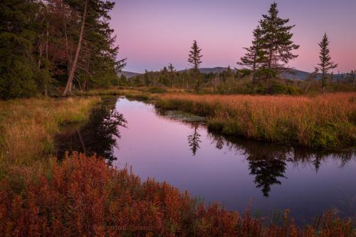 Autumn wetlands in the West Virginia Highlands