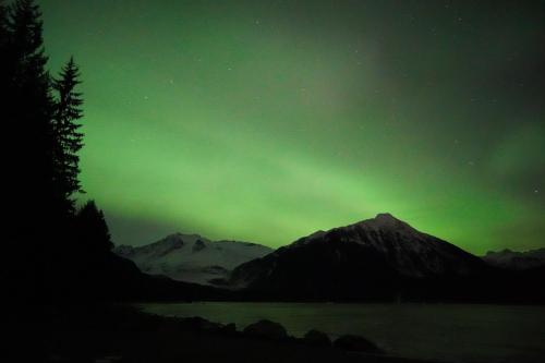 Couldn't get a good picture of the lunar eclipse, so settled for the scene behind me instead- Juneau, AK