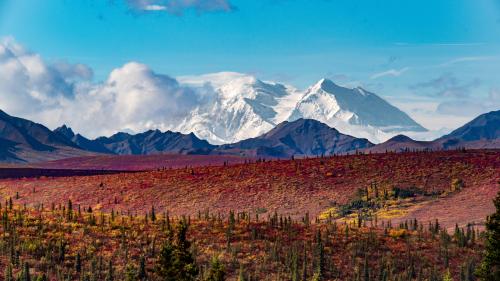 Big Reveal! Denali comes out of the clouds.