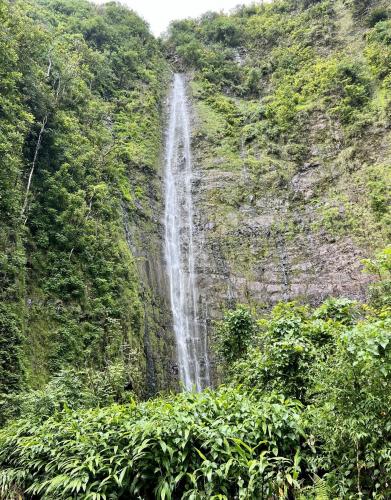 Hiked to this beautiful waterfall from doing the Road to Hana in Maui, Hawaii