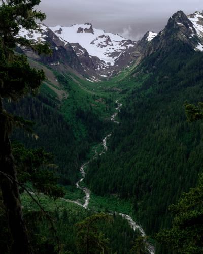 Olympic National Park looks like it's right out of a fantasy movie