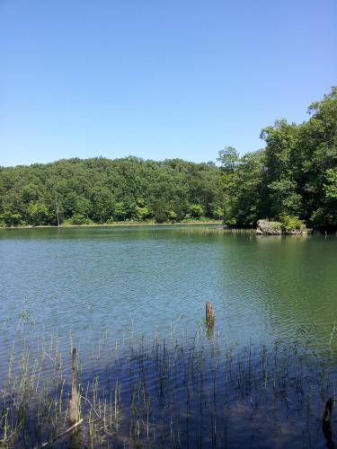 Missouri State Park USA 2