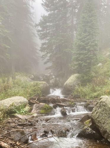 Misty summer morning in Rocky Mountain NP