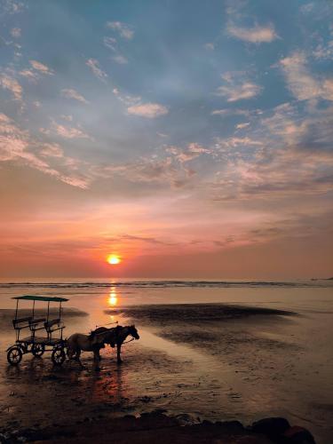 Srivardhan Beach, India.