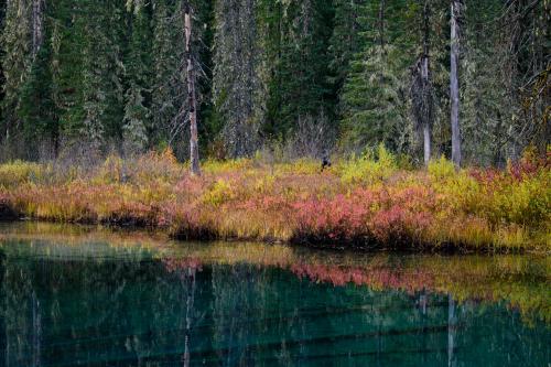 Little Crater Lake fall colors, Oregon