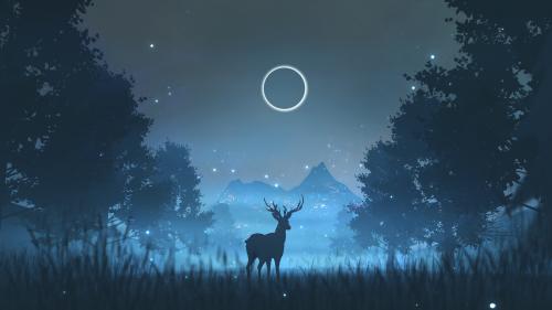 Deer on a moonlit night