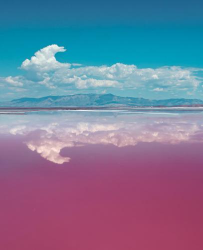 This is the color of portions of the great salt lake.