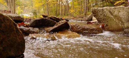 A random rock formation in a lake in Pennsylvania