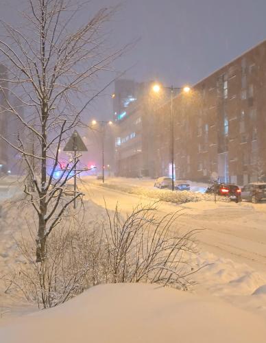 Heavy snowstorm in Espoo, Finland