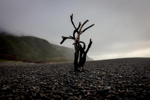 Lost Coast Trail, Humboldt county California {OC} {}