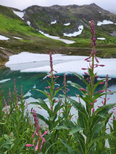 Snow melt lake in Alaskan mountains