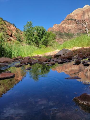 Zion National Park  OC