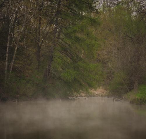 Fog rising from a creek in southeastern Wisconsin