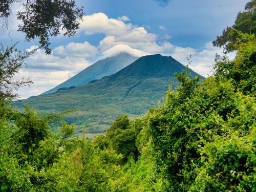 Virunga Mountain Range, home of the Mountain Gorillas - Mount Sabyinyo, Uganda/Rwanda