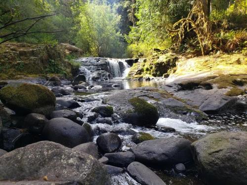 sweet creek falls, OR