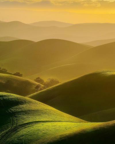 Shades of Green, East Bay Hills, Livermore, California