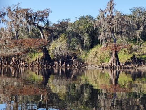 Peace River near Arcadia Florida