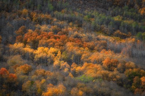 The many shades of autumn in Oregon's Steens Mountain Wilderness