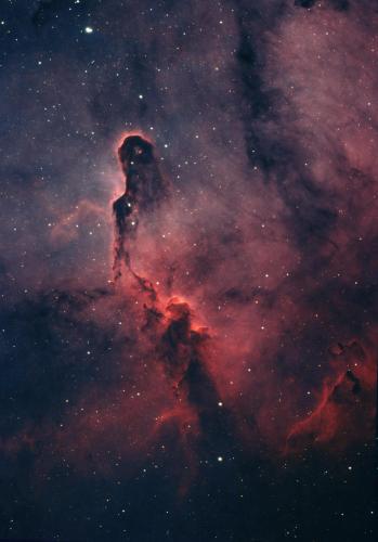 IC1396 - The Elephant's Trunk Nebula