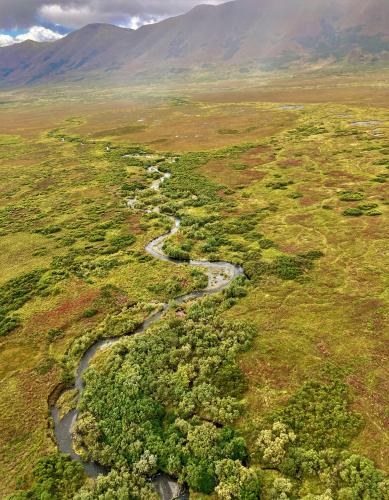 Kodiak, Alaska from above