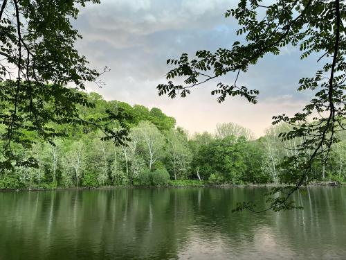 Backyard view in Pennsylvania  [