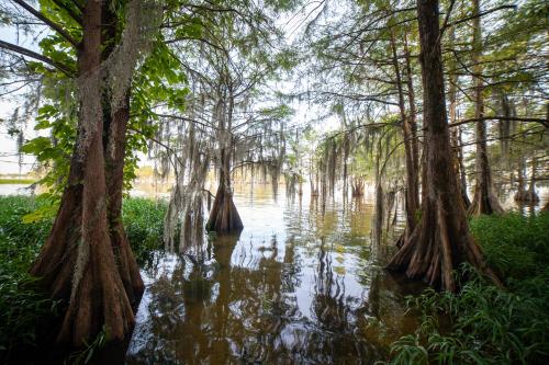 Lake Marion, South Carolina