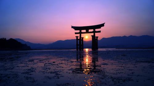 Japanese Torii gate at sunset