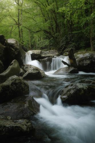 Ramsey Prong- Great Smoky Mountains National Park