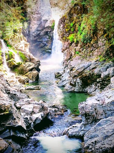 Inside a Temperate Rainforest - BC,CA