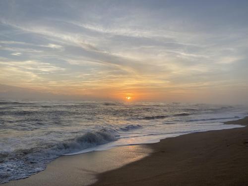 Apollo Beach, Canaveral National Seashore this morning