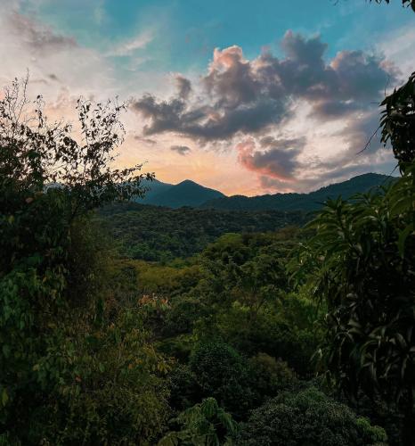 Re-upload: Minca, Colombia  Not a SOFFIT for miles 🥰🥰