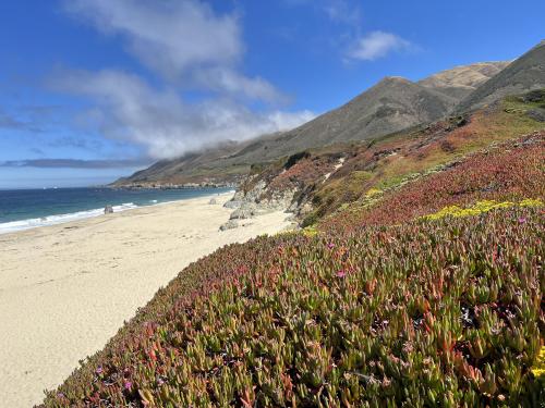 Garrapata Beach, on the Pacific Coast Highway in California