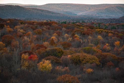 Pennsylvania , OC