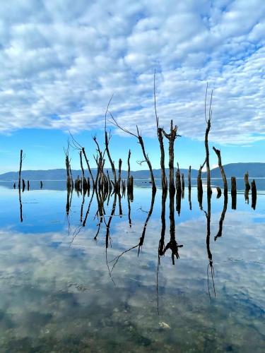 Corner of Hongze Lake, Hubei Province, China