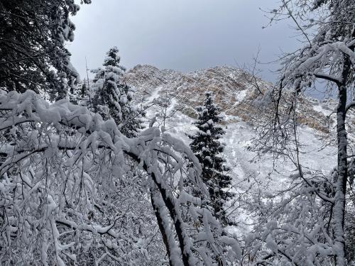 Walking in a winter wonderland—early December  morning in Utah’s Wasatch Range  OC