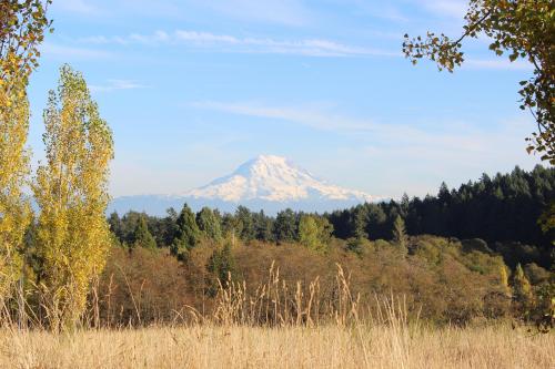 Mt. Rainier from Lakewood, WA