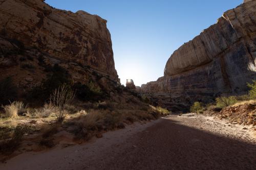 Sunlight filtering into Capitol Gorge in Utah.