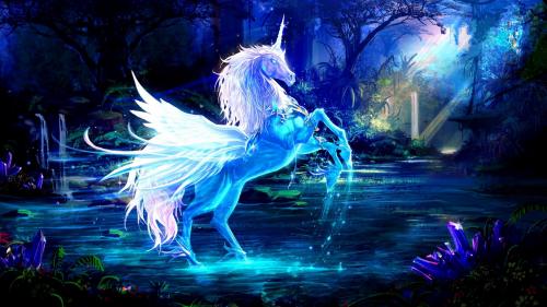[1920×1080] Unicorn In this WorlD