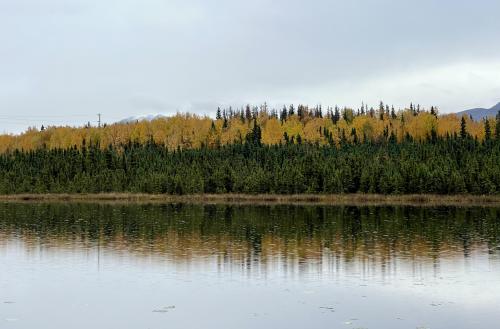 Autumn in Anchorage, Alaska, USA OC