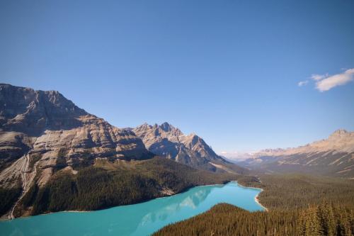 A classic: Peyto Lake, Alberta Canada